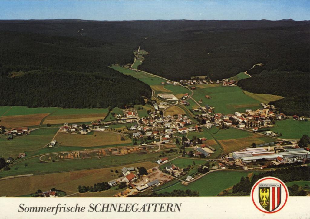 Schneegattern